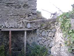 bellanamullia - 1131.JPG
